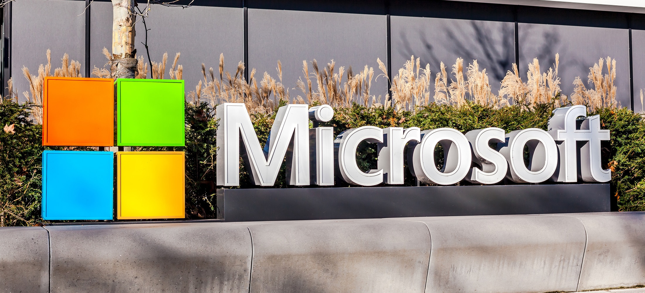 Is your startup missing out by ignoring Microsoft?