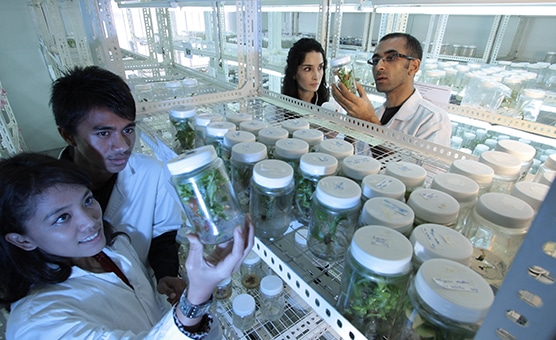 new-system-increases-laboratory-profitability