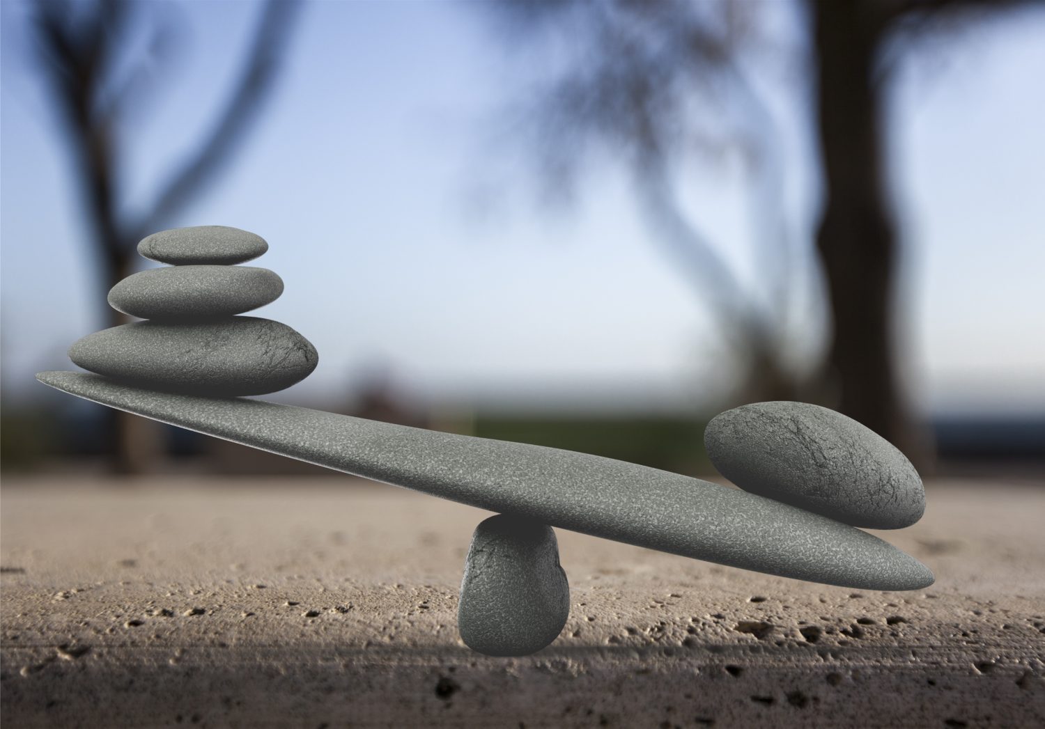 Determining and Articulating Intrinsic Value of an Enterprise Initiative