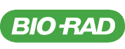 Rectangle 68